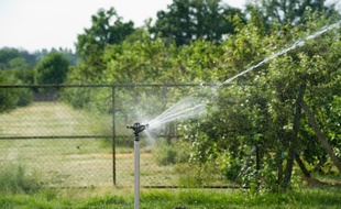 Le niveau des nappes phréatiques est bas en Gironde et le préfet a émis des mesures de restrictions de l'usage de l'eau.