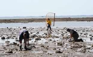 Les grandes marées à la Bernerie, en 2011