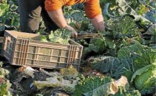 Le nombre d'exploitations en Paca a baissé de 24 % en dix ans.