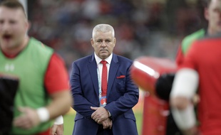 Warren Gatland lors de France-Pays de Galles en quarts de la Coupe du monde.