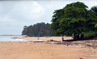 Une plage désertée par les touristes près de Robertsport, sur la côte libérienne, le 6 décembre 2014