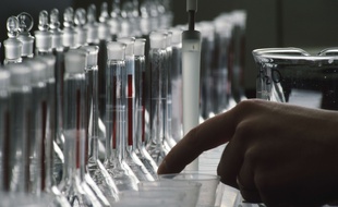 Illustration d'un(e) scientifique travaillant dans son laboratoire