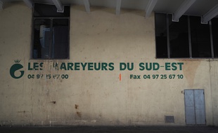 L’entreprise Les Mareyeurs du Sud-Est est encore visible au MIN de Nice