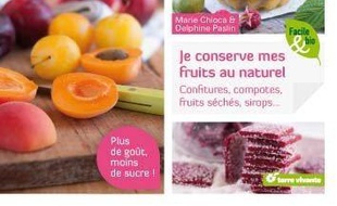 Mes confitures, compotes, fruits séchés, sirops... : plus de fruits, moins de sucre !