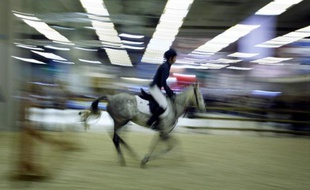 Voltige, polo, dressage... le Salon du cheval de Paris mettra chaque jour à l'honneur une des neuf disciplines équestres des Jeux équestres mondiaux 2014, au parc des expositions de Paris-Nord Villepinte (Seine-Saint-Denis).