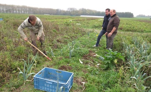 Les agriculteurs de l'association «La voix des champs bio des Weppes» ont commencé à travailler à Wavrin, près de Lille.