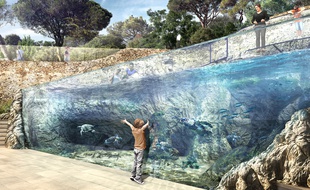 Le bassin de 160m3 sera visible par le public