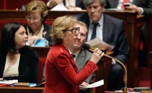 La ministre de l'Enseignement supérieur Geneviève Fioraso à l'Assemblée nationale le 18 février 2014