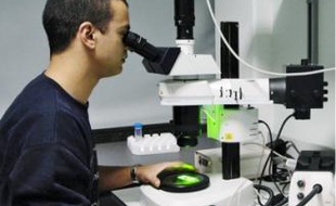 Recherche moléculaire au pôle innovations thérapeutiques Alsace Biovalley, à IllKirch.