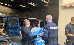 Les gendarmes ont démantelé un trafic de croquettes