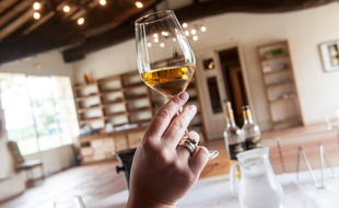 Dégustation de vin