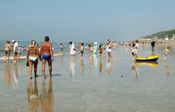 La baignade de nouveau autorisée sur les plages de Deauville et Trouville