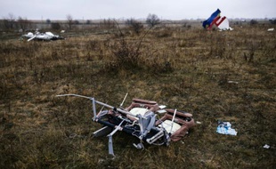 Des débris du vol MH17 de la Malaysia Airlines près du village ukrainien de Hrabove le 10 novembre 2014