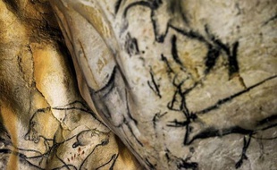 Peintures d'animaux sur les parois de la Grotte Chauvet, à Vallon-Pont-d'Arc, le 13 juin 2014