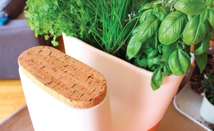 Le vase composteur des Transfarmers