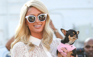 La star de la téléréalité Paris Hilton et sa petite chienne Diamond Baby