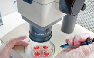 Analyse biologique dans un CHU.