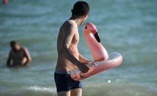Une bouée flamant rose (illustration).
