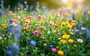 L’astuce estivale pour transformer sans effort un coin oublié du jardin en oasis fleuri et utile