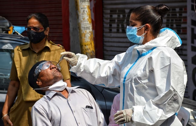 Coronavirus en Inde : Explosion des cas de « champignon noir » parmi les malades du Covid-19