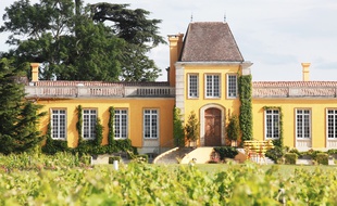 Le château Lafon-Rochet, à Saint-Estèphe dans le Médoc, a décidé d'arrêter la culture en bio.