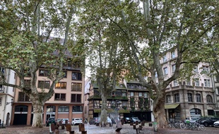Place du Marché Neuf à Strasbourg, un des trois secteurs concernés par l'arrêté contre la mendicité agressive.. Le 25 septembre 2019.