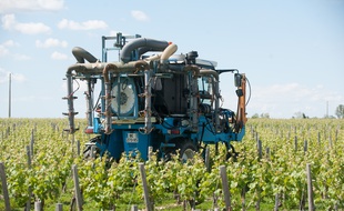 Medoc, 14 mai 2014. - Tracteur d'epandage dans les viges du Medoc. - Photo : Sebastien Ortola