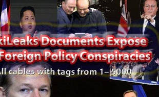 La couverture d'un livre qui compile les 5.000 premiers documents WikiLeaks du département d'Etat, vendu par un certain Heinz Duthel sur la Kindle Store
