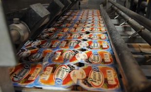 Foodwatch épingle les yaourts de la marque Yoplait