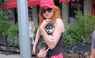 L'actrice Sophie Turner avec son chien dans les rues de Manhattan