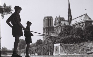 Des enfants pèchent dans la Seine face a la Cathédrale Notre-Dame en 1950.