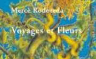Voyages et fleurs