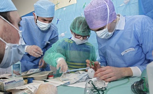 Clément tente un suture sur son lapin qui a mal à la bouche.