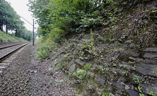 Site potentiel où aurait été enterré le train nazi, le 28 août dans le sud-ouest de la Pologne.