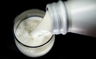 La production de lait reste abondante dans le monde, malgré la faiblesse de la demande et des prix