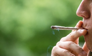 Juste un joint. (illustration)