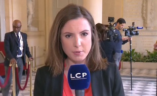 Astrid de Villaines, journaliste à LCP, a porté plainte pour agression sexuelle contre l'animateur de la chaîne Frédéric Haziza