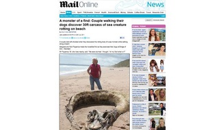 Capture d'écran du site Mail Online représentant une photo du monstre marin échoué sur une plage d'Ecosse, le 20 juillet 2011.