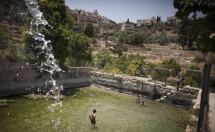 Des enfants palestiniens jouent dans les sources antiques du village de Battir, en Cisjordanie, le 17 juin 2012.