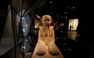 Musée des Confluences