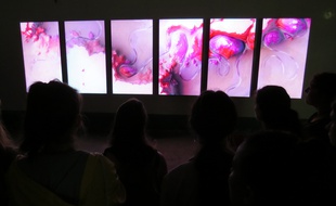 L'œuvre « Meandering river », programmée au festival Scopitone, invite à la contemplation.