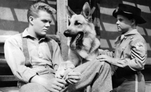 Scott Wilder, Rintintin et Lee Aaker dans la série télévisée « Rintintin ».