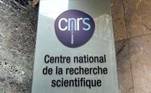 Des universitaires accusent le CNRS d'adopter des méthodes discriminantes envers un sociologue depuis trois ans.