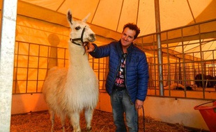 Serge le lama dans son box avec John Beautour, le directeur du cirque.