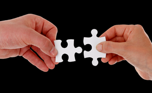 Des fonctions cognitives multiples impliquées dans la résolution des puzzles