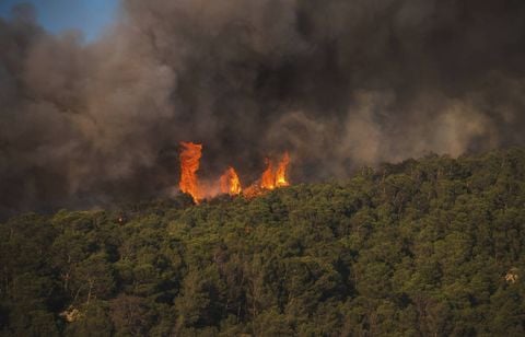 Le feu continue de se propager, l'UE « prête à mobiliser » des moyens...
