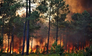 Les pompiers devaient lutter toute la nuit de jeudi à vendredi contre l'incendie qui a dévasté une forêt de pins à proximité de la station balnéaire de Lacanau sur la côte Atlantique (Gironde), détruisant en quelques heures plus de 400 hectares de végétation.