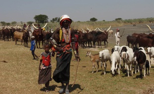 Femmes peules au Tchad.