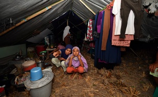 Ces sinistrées vivent dans une tente dans le nord de Lombok après avoir perdu leur maison.