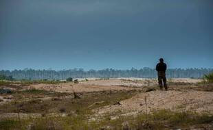 Dans son dernier bulletin sur les principaux gaz à effet de serre publié le 25 octobre 2021, l'Organisation météorologique mondiale (OMM) révèle qu'une partie de l'Amazonie, victime de déforestation, perd de sa capacité à absorber le CO2.